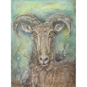 A GOAT by Larisa Jociene