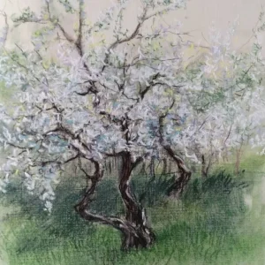 APPLE TREE by Edita Ter-Balyan