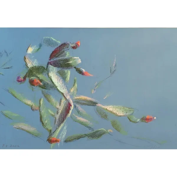 Blooming Cactus by Polina Levin