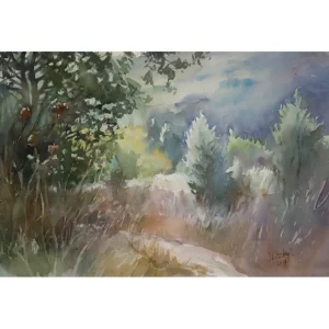 Carmel Forest