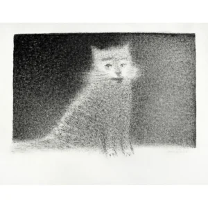 CAT IN THE NIGHT by Alexander Dedushev