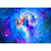 COSMOS by Helen Krasnoshchokova