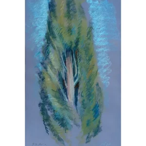 Cypress by Polina Levin