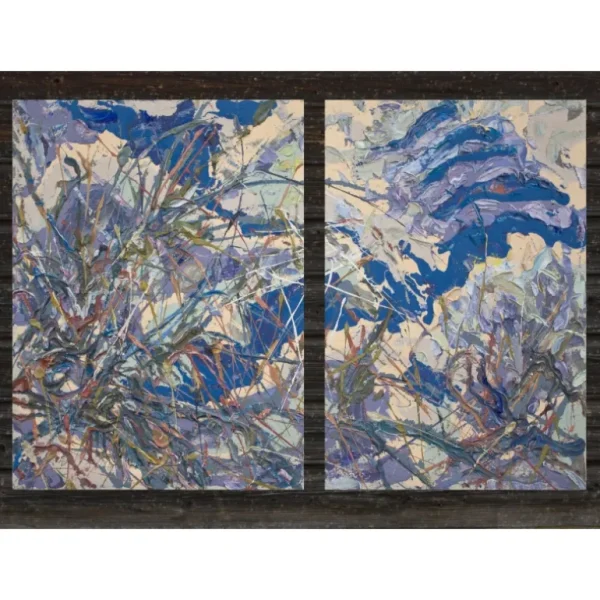 DRY FLIGHT (Diptych) by Vsevolod Saplin