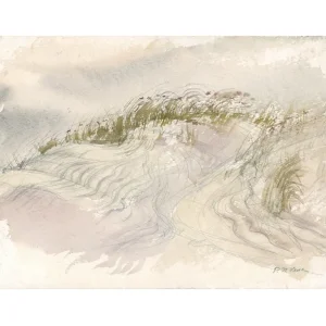 Dunes 2 by Polina Levin