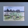 FIELDS OF SHEEP by Onute Juskiene