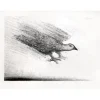 FLIGHT by Alexander Dedushev