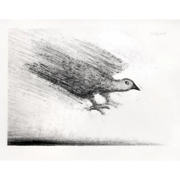 FLIGHT by Alexander Dedushev