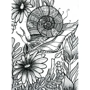 FLOWERS & SNAIL by Tatiana Rymorenko