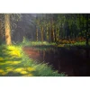 FOREST by Mantas Cepauskis
