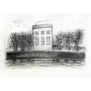 HOUSE BY THE RIVER by Alexander Dedushev