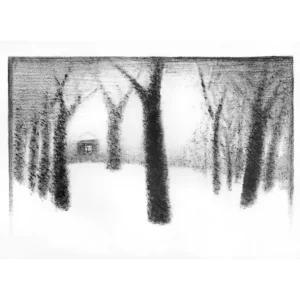HOUSE IN THE FOREST by Alexander Dedushev
