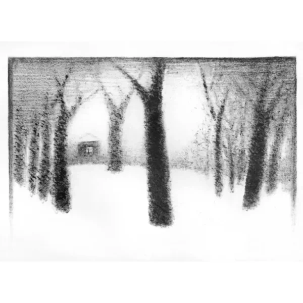 HOUSE IN THE FOREST by Alexander Dedushev