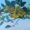 Lemons by Onute Juskiene