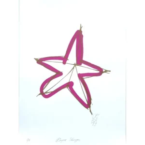 LIFE OF THE STAR IN GOLD by Vsevolod Boytsov