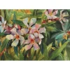 OLEANDER BRANCH