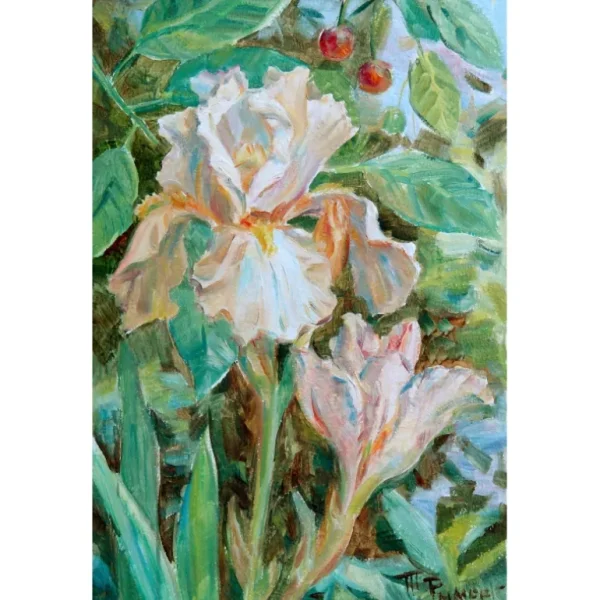 PINK IRIS by Tatiana Rymorenko