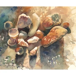 Sea Stones and Shells by Tatiana Ilitzky