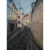 SKAPO STREET OR THE MAN AND THE CAT by Marina Tregubova