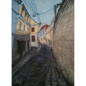 SKAPO STREET OR THE MAN AND THE CAT by Marina Tregubova
