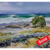 SOLD Shikmona Park by Piter Ilitzky