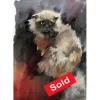 The sad cat. SOLD