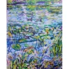 WATERLILIES & DUCKS by Irina Garshina